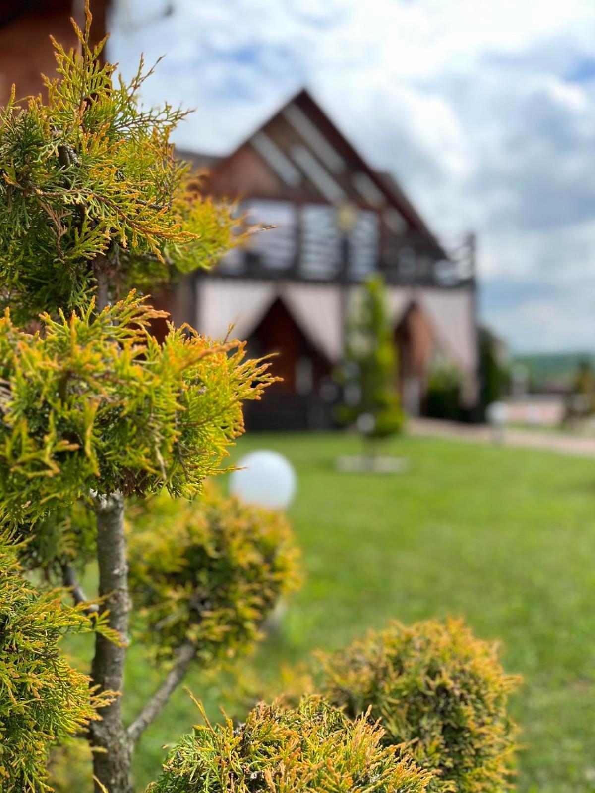 Hotel Four Seasons In Carpathians Migovo Exterior foto