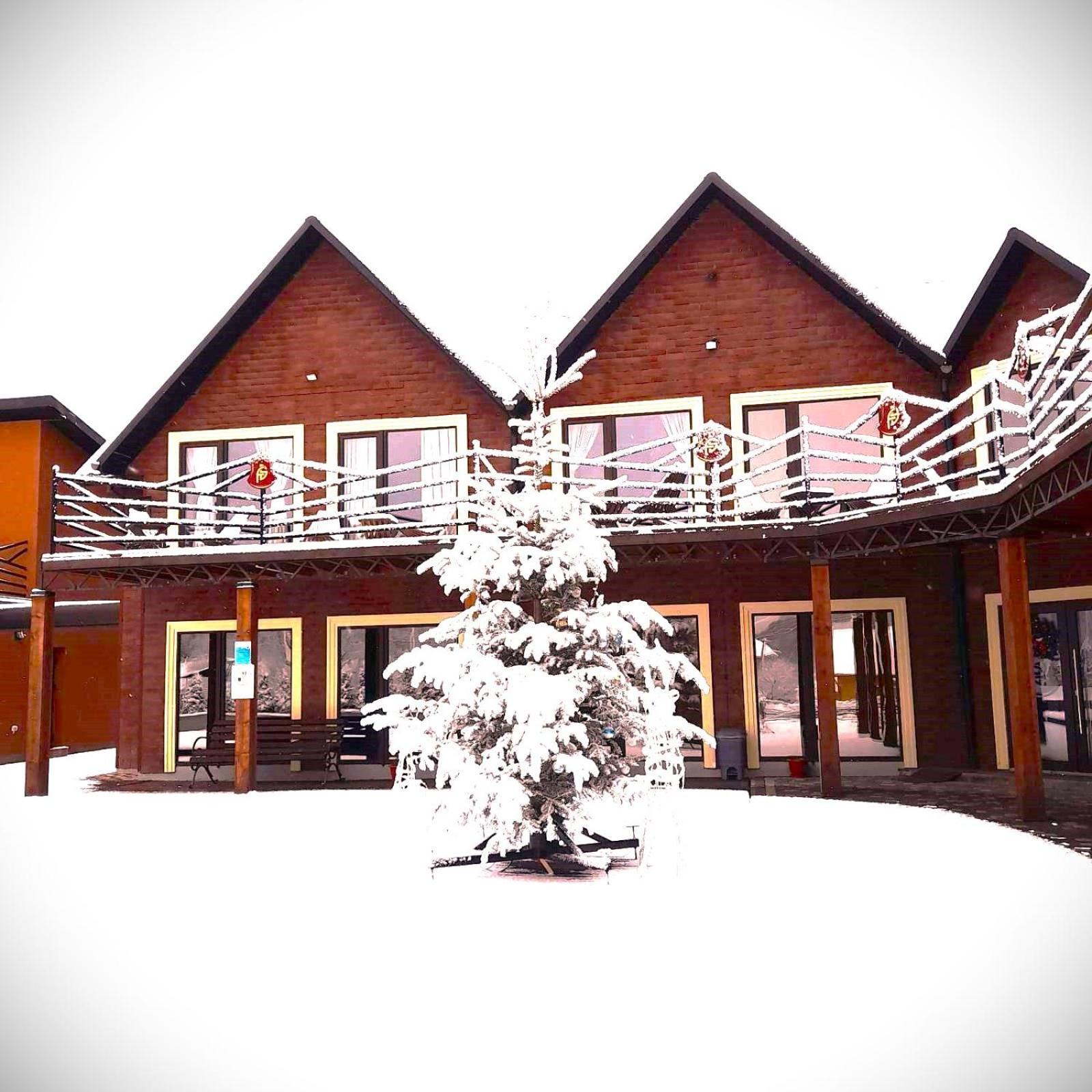 Hotel Four Seasons In Carpathians Migovo Exterior foto
